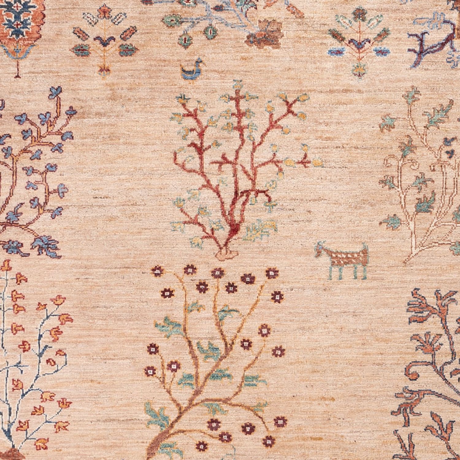 Ziegler Rug - Ariana - 293 x 206 cm - light beige
