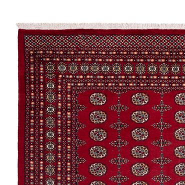 Afghan Rug - Bukhara - 309 x 246 cm - red