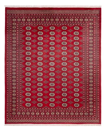 Afghan Rug - Bukhara - 305 x 244 cm - red