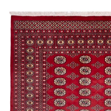 Afghan Rug - Bukhara - 305 x 244 cm - red