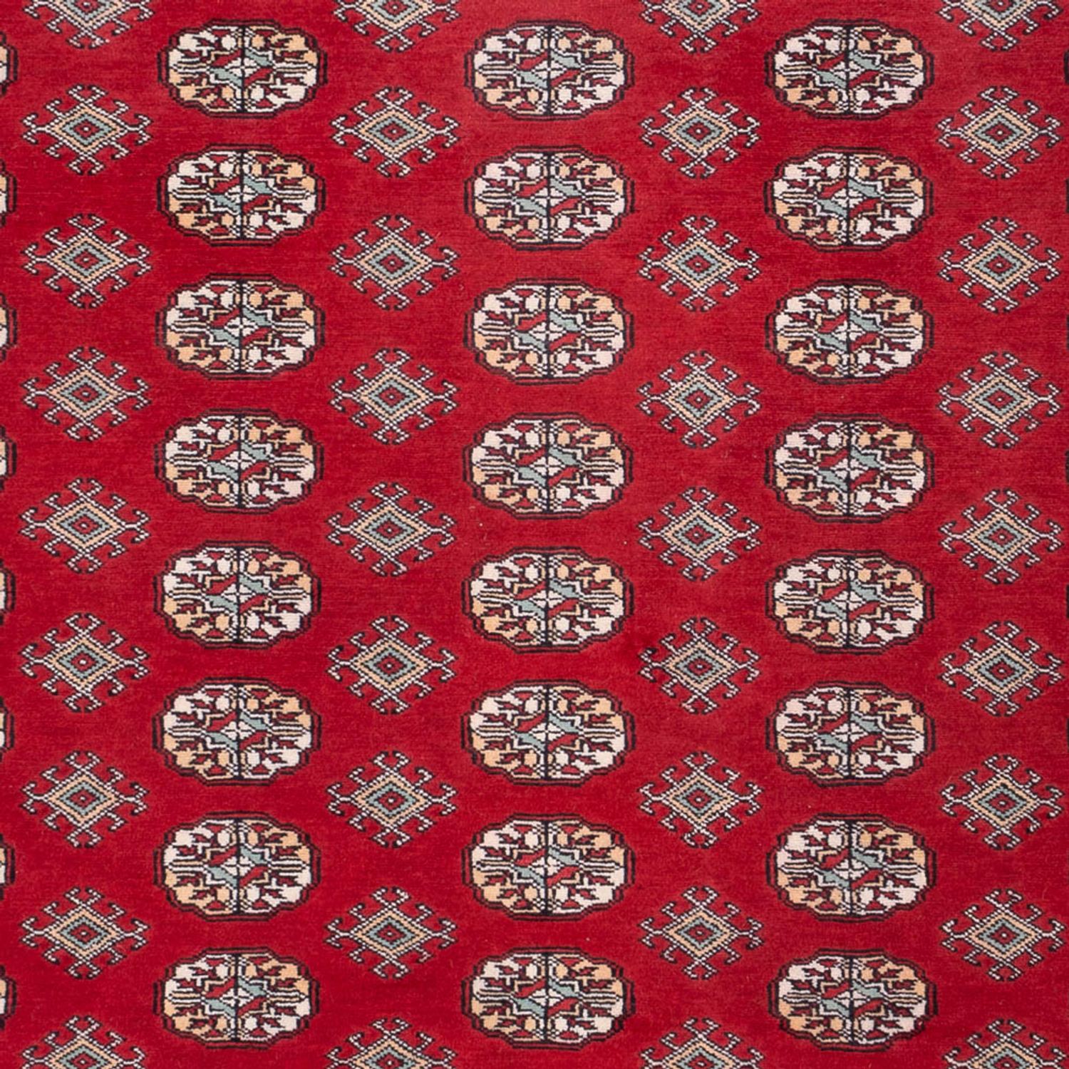 Afghan Rug - Bukhara - 296 x 250 cm - red