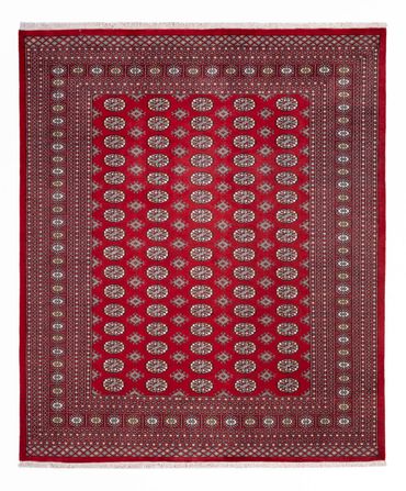 Afghan Rug - Bukhara - 296 x 250 cm - red