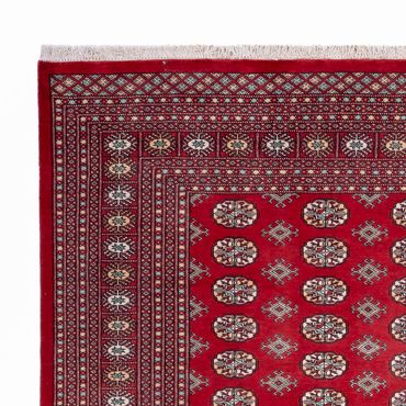 Afghan Rug - Bukhara - 296 x 250 cm - red