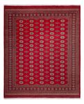 Afghan Rug - Bukhara - 305 x 252 cm - red