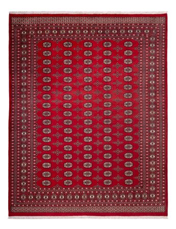 Afghan Rug - Bukhara - 319 x 250 cm - red