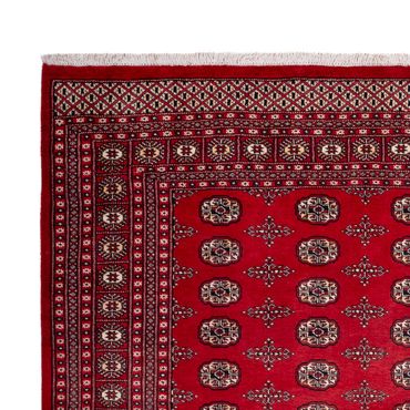 Afghan Rug - Bukhara - 319 x 250 cm - red
