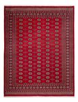Afghan Rug - Bukhara - 319 x 250 cm - red