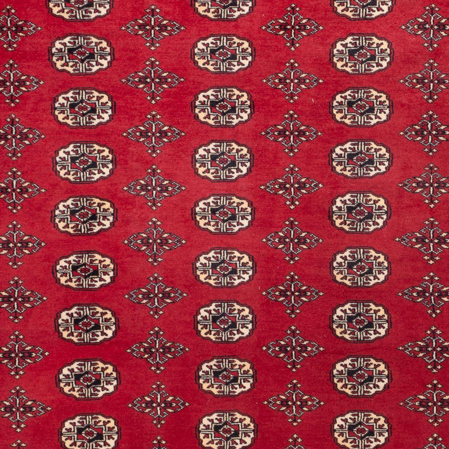 Afghan Rug - Bukhara - 309 x 248 cm - red