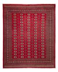 Afghan Rug - Bukhara - 309 x 248 cm - red