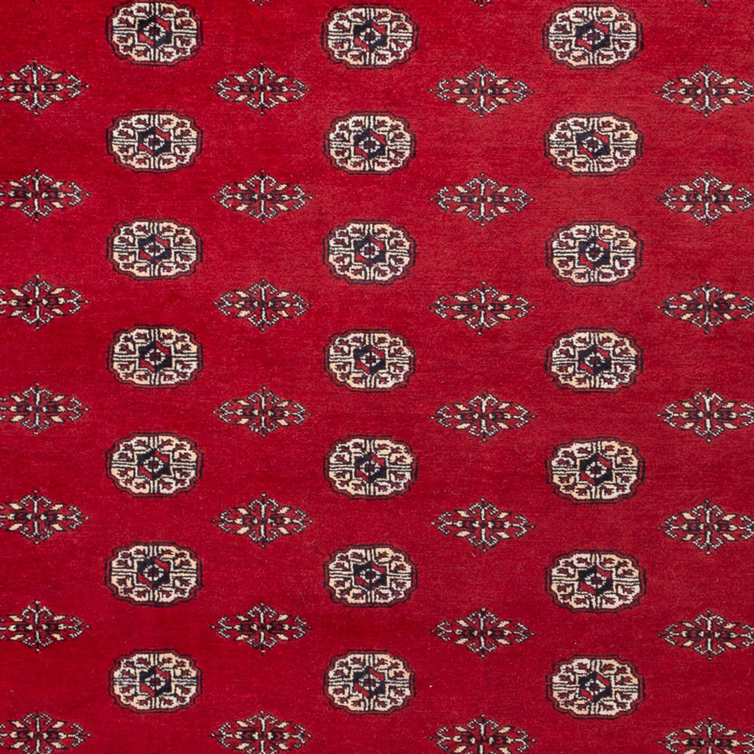 Afghan Rug - Bukhara - 323 x 248 cm - red