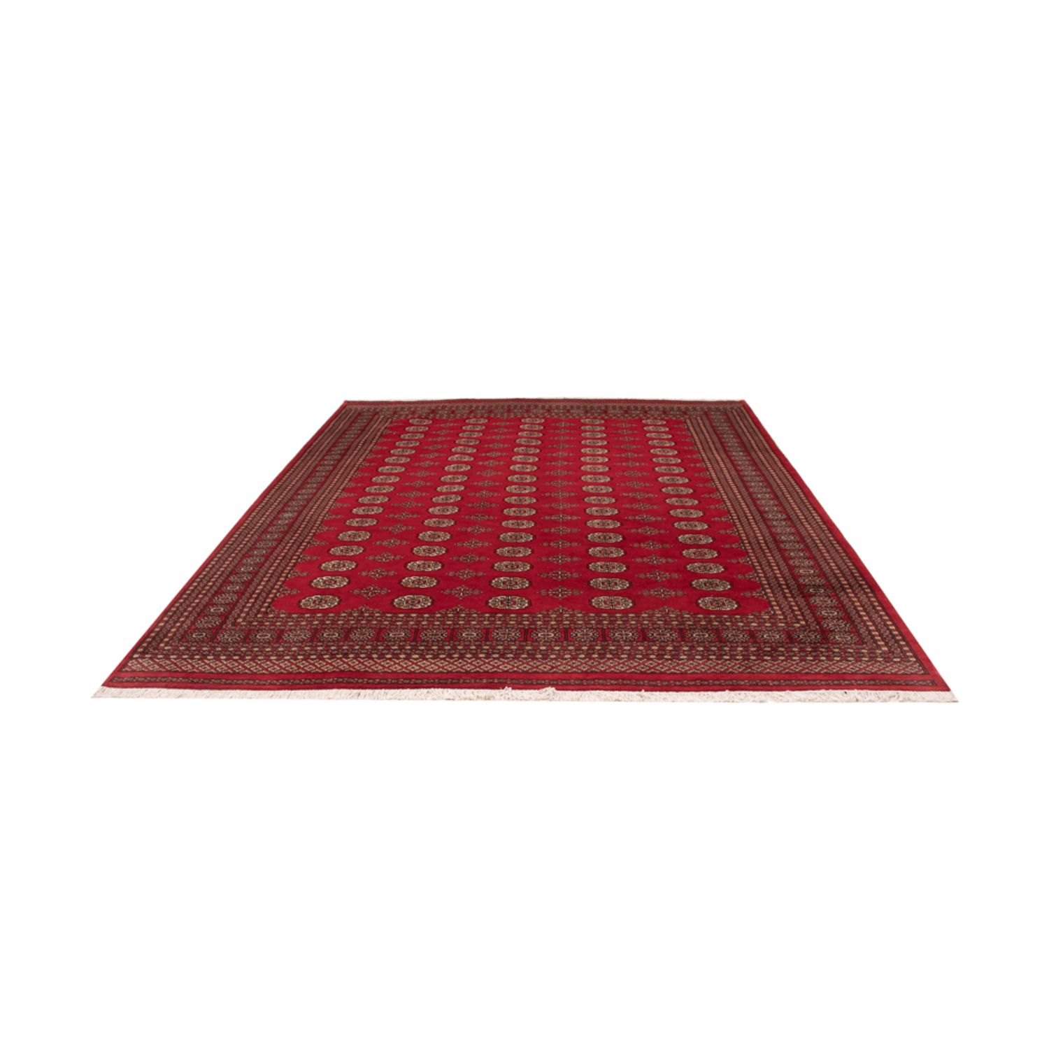 Afghan Rug - Bukhara - 321 x 247 cm - red
