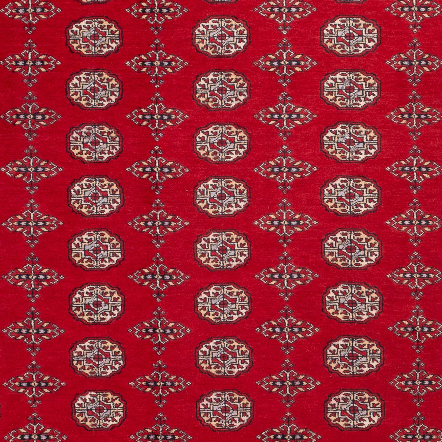 Afghan Rug - Bukhara - 318 x 247 cm - red