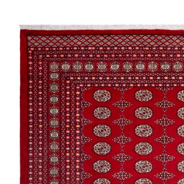 Afghan Rug - Bukhara - 318 x 247 cm - red