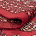 Afghan Rug - Bukhara - 318 x 247 cm - red