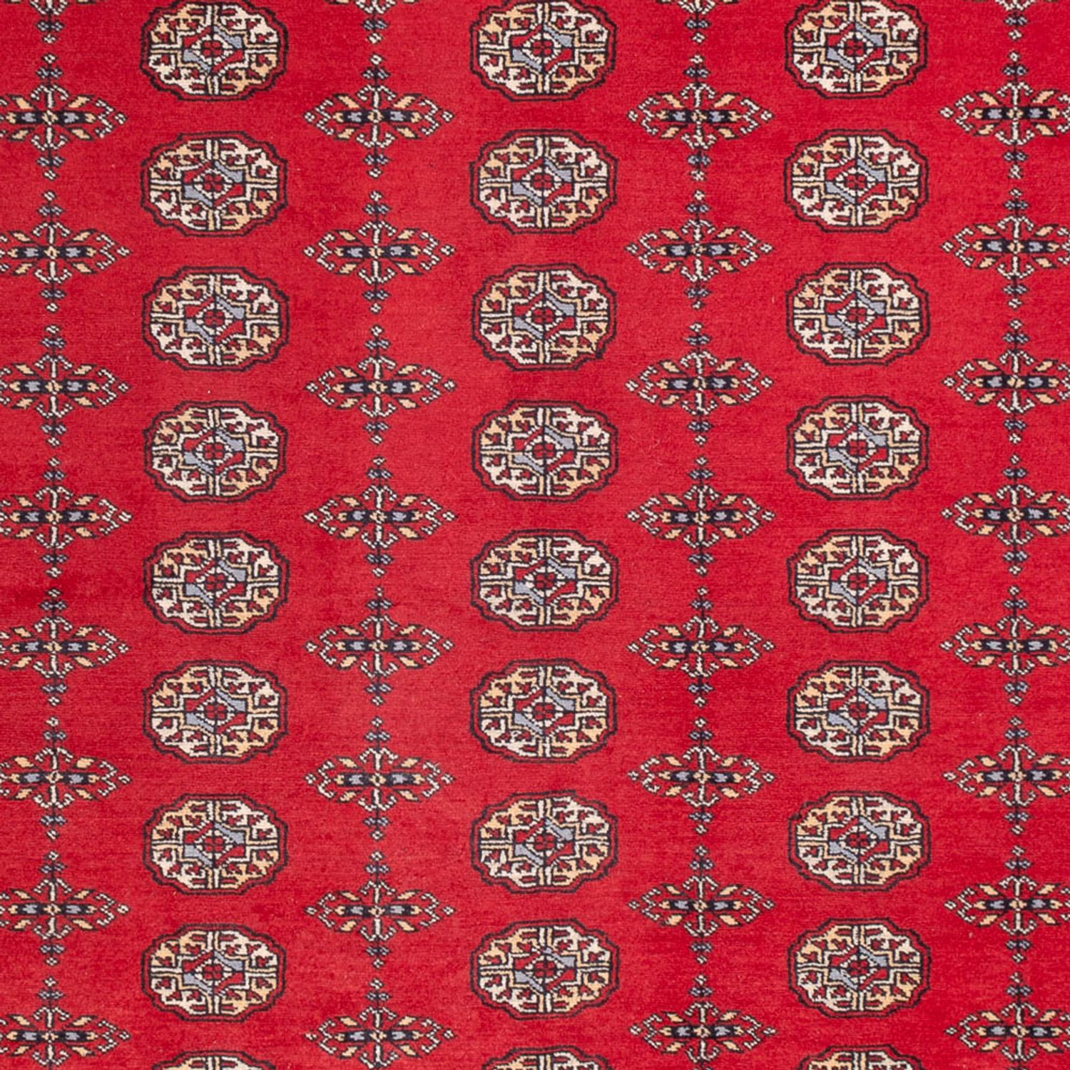 Afghan Rug - Bukhara - 310 x 250 cm - red