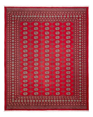 Afghan Rug - Bukhara - 310 x 250 cm - red