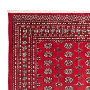 Afghan Rug - Bukhara - 310 x 250 cm - red