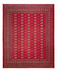Afghan Rug - Bukhara - 310 x 250 cm - red