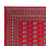 Afghan Rug - Bukhara - 310 x 250 cm - red
