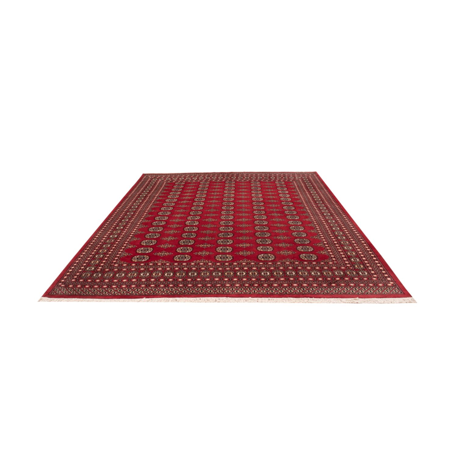 Afghan Rug - Bukhara - 315 x 248 cm - red