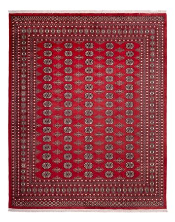 Afghan Rug - Bukhara - 315 x 248 cm - red
