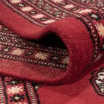 Afghan Rug - Bukhara - 315 x 248 cm - red