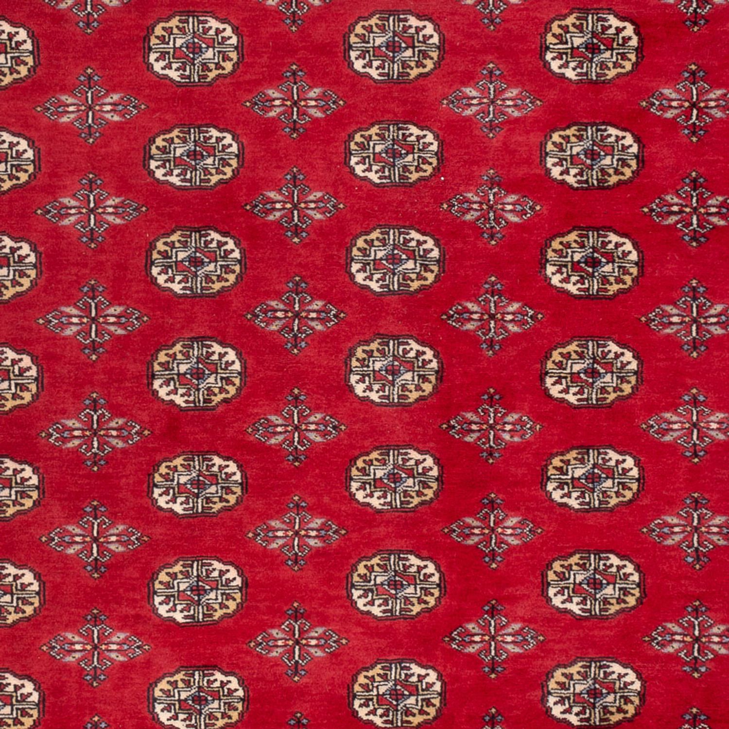 Afghan Rug - Bukhara - 298 x 198 cm - red