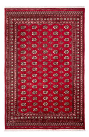 Afghan Rug - Bukhara - 298 x 198 cm - red