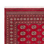 Afghan Rug - Bukhara - 298 x 198 cm - red