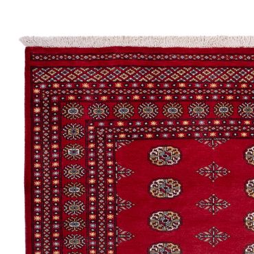 Afghan Rug - Bukhara - 302 x 202 cm - red