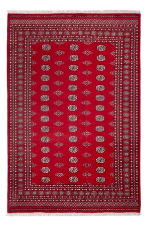 Afghan Rug - Bukhara - 303 x 205 cm - red