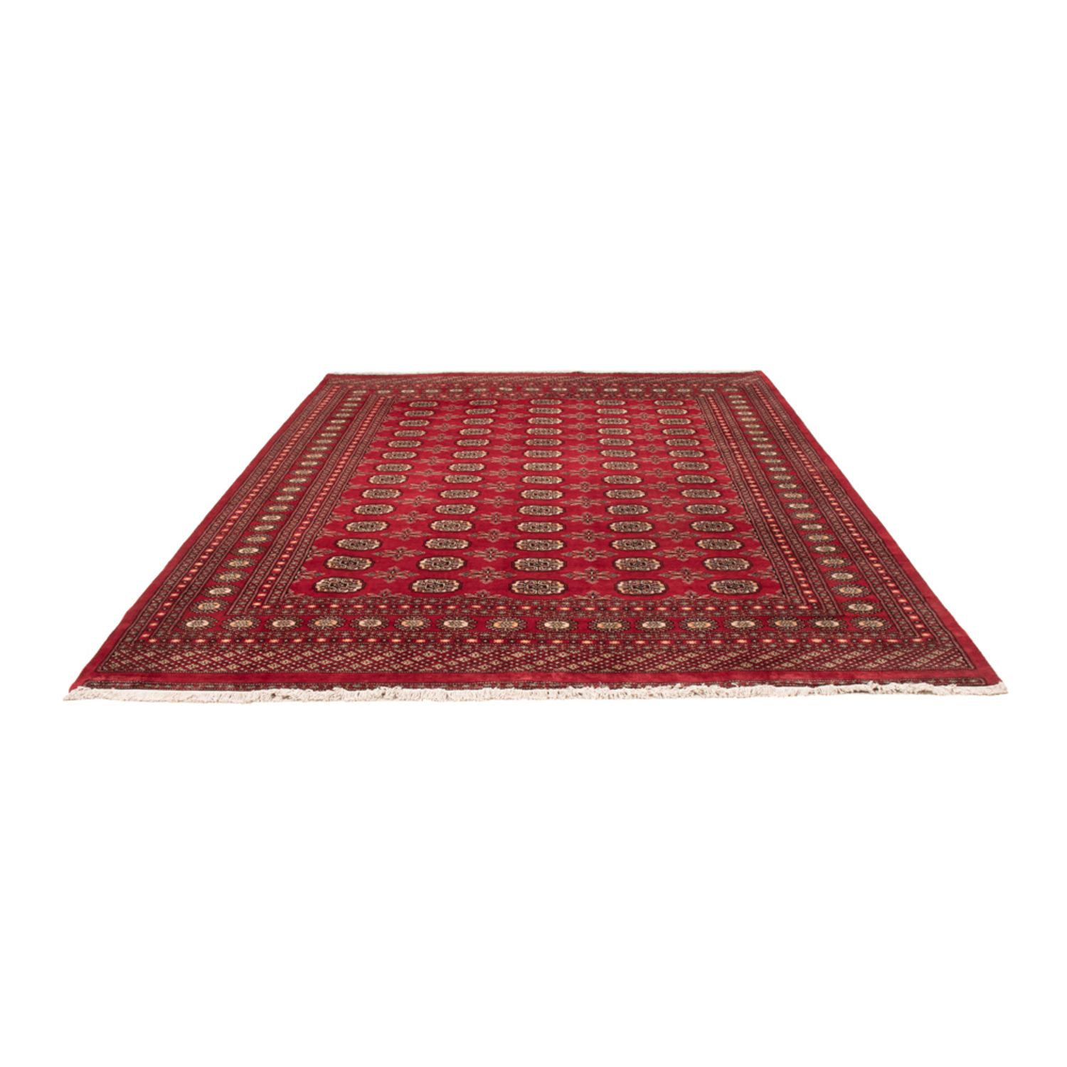 Afghan Rug - Bukhara - 297 x 220 cm - red