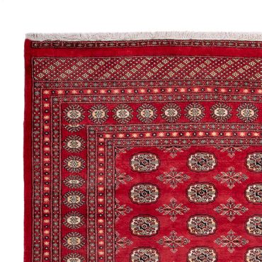 Afghan Rug - Bukhara - 297 x 220 cm - red