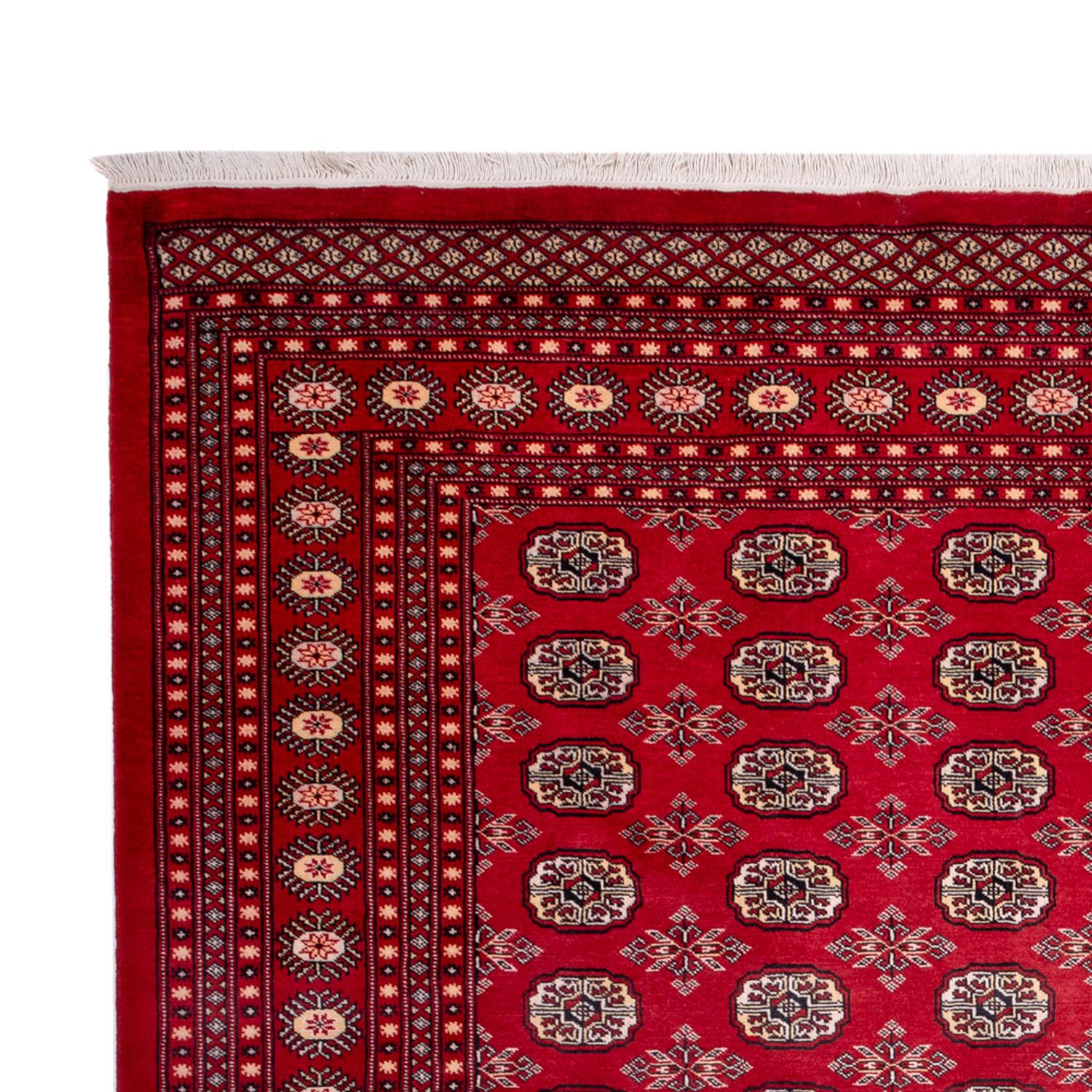 Afghan Rug - Bukhara - 322 x 248 cm - red