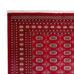 Afghan Rug - Bukhara - 322 x 248 cm - red