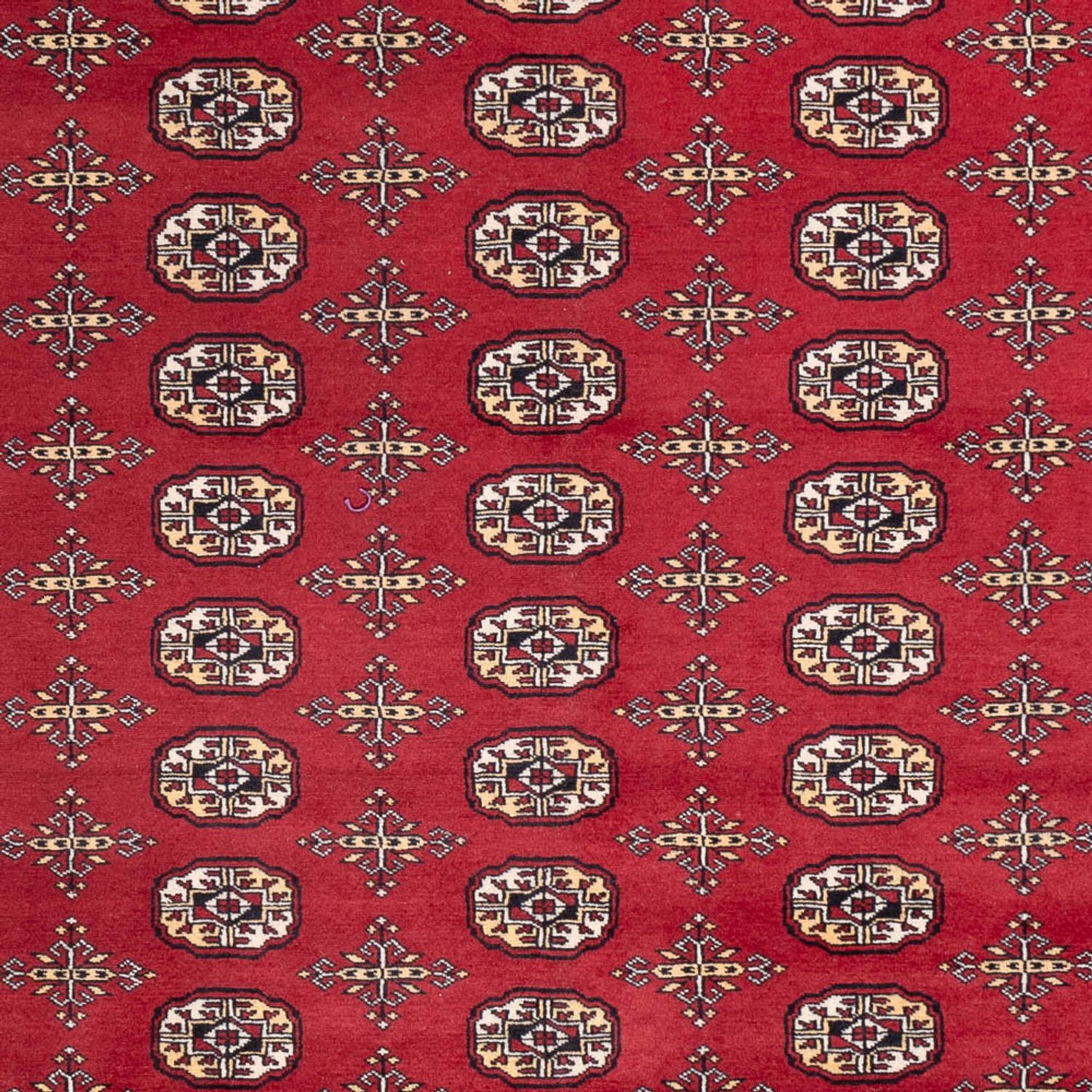 Afghan Rug - Bukhara - 312 x 245 cm - red