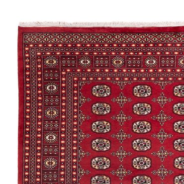 Afghan Rug - Bukhara - 312 x 245 cm - red