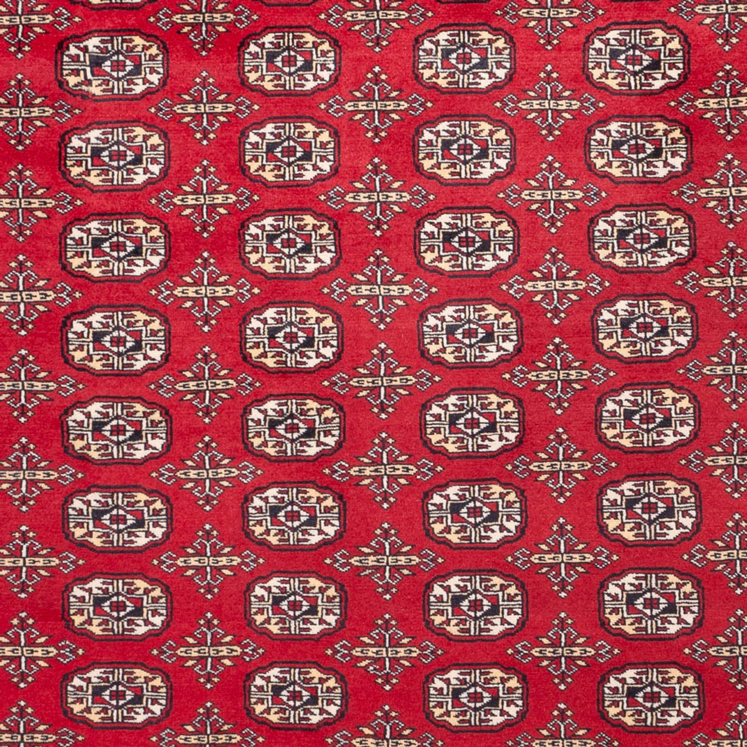 Afghan Rug - Bukhara - 311 x 243 cm - red