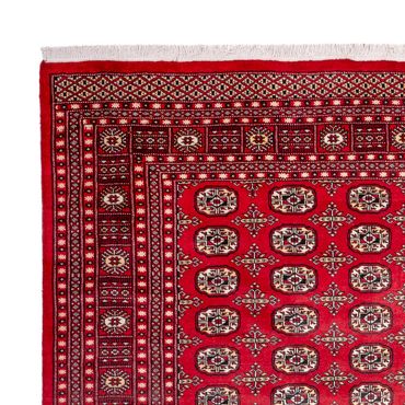 Afghan Rug - Bukhara - 311 x 243 cm - red
