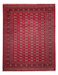 Afghan Rug - Bukhara - 311 x 243 cm - red