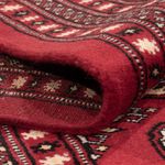 Afghan Rug - Bukhara - 311 x 243 cm - red