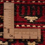 Afghan Rug - Bukhara - 311 x 243 cm - red