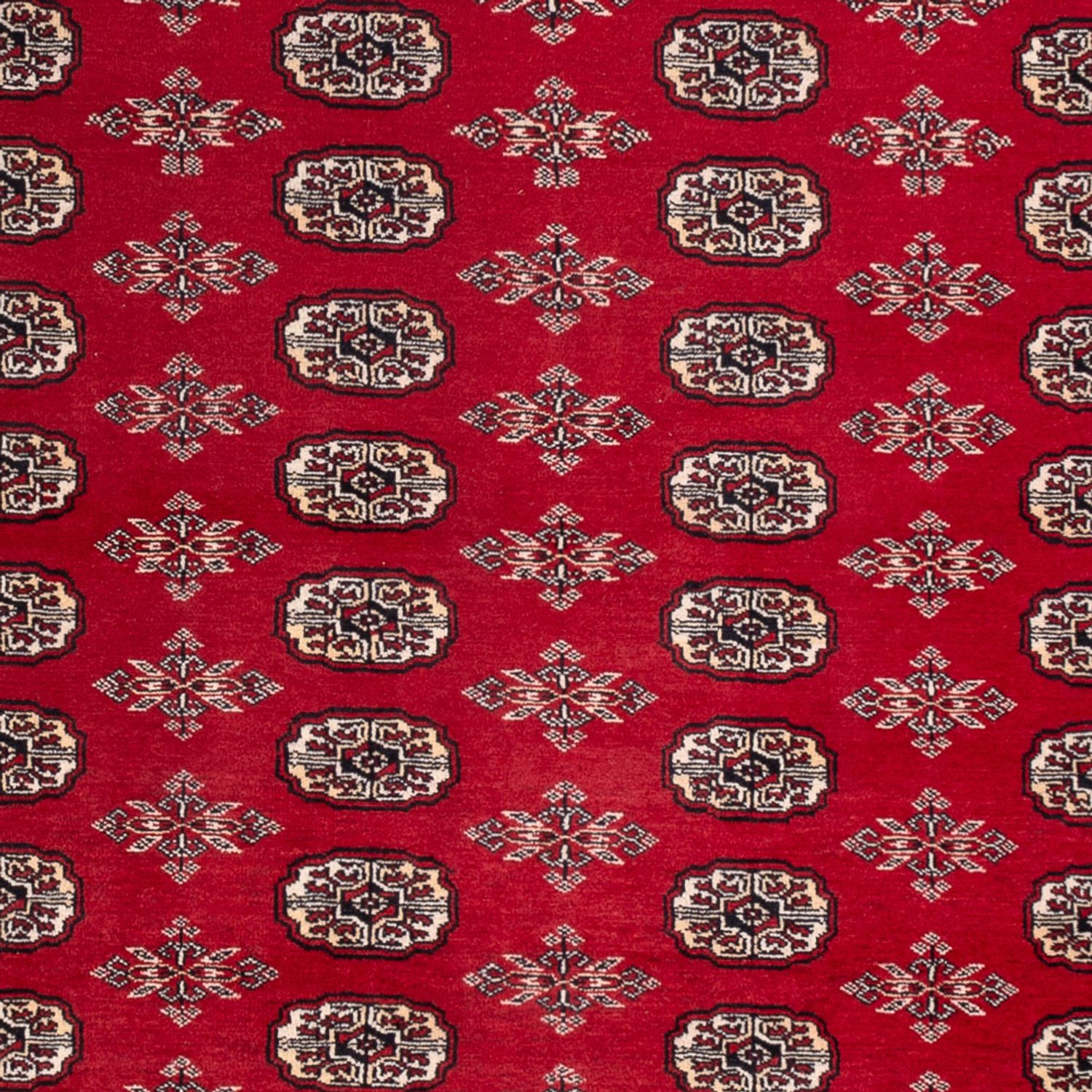 Afghan Rug - Bukhara - 297 x 213 cm - red