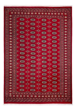 Afghan Rug - Bukhara - 297 x 213 cm - red