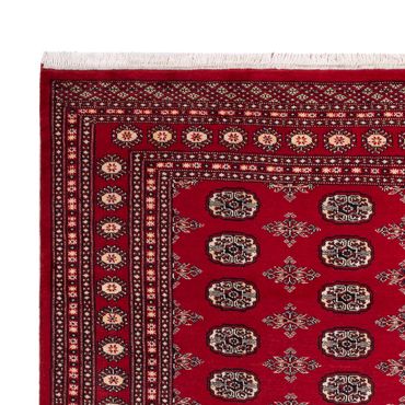 Afghan Rug - Bukhara - 297 x 213 cm - red