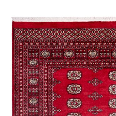 Afghan Rug - Bukhara - 306 x 197 cm - red