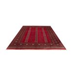Afghan Rug - Bukhara - 306 x 197 cm - red