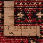 Afghan Rug - Bukhara - 302 x 199 cm - red