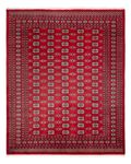 Afghan Rug - Bukhara - 307 x 247 cm - red