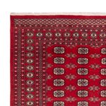 Afghan Rug - Bukhara - 307 x 247 cm - red